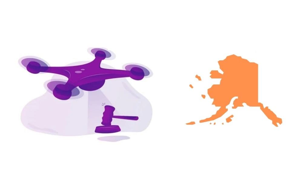 Drone Laws in Alaska: Wildlife Bans, Privacy Warrants, and No-Fly Zones (2026) - drone reviews and comparison